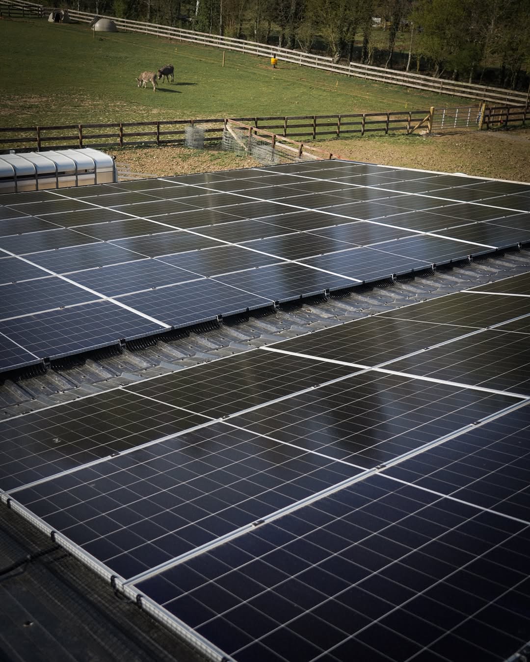Solar panels across equestrian farm roof with paddock and livestock visible in background