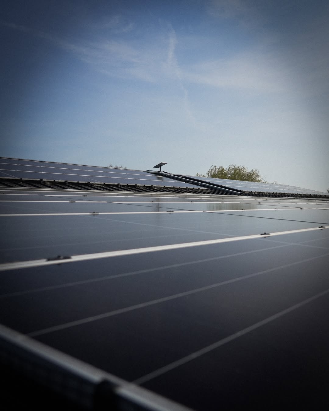 Low-angle view along rows of solar panels against blue sky  -  Lancashire farm installation
